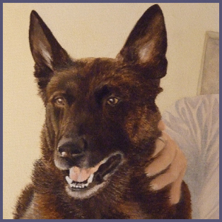 huisdier-portret-hond