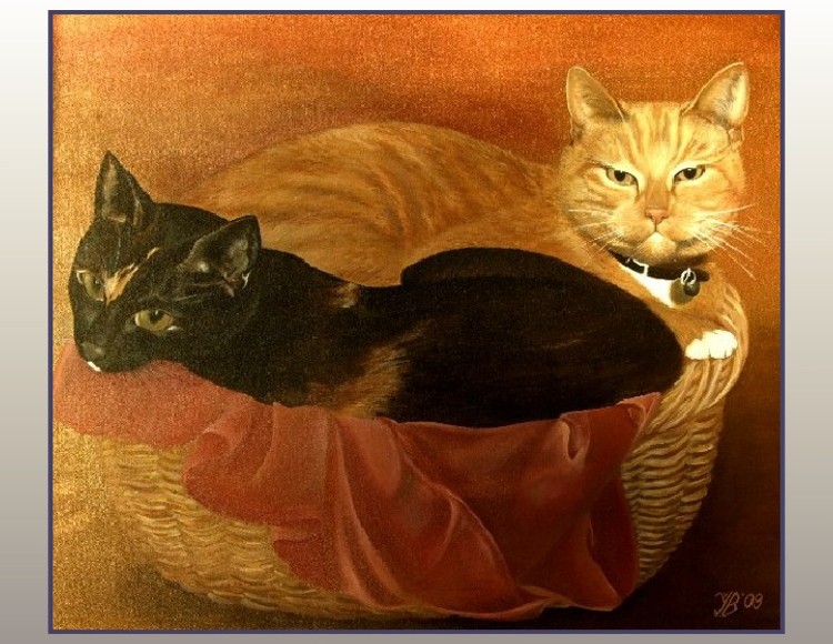 kattenportret-door-yvonne-van-bloemendal