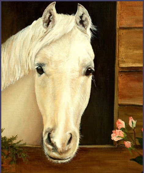 portret-van-paard